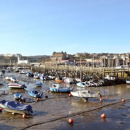 Sir Francis Bigod - Uk31993 * Staithes